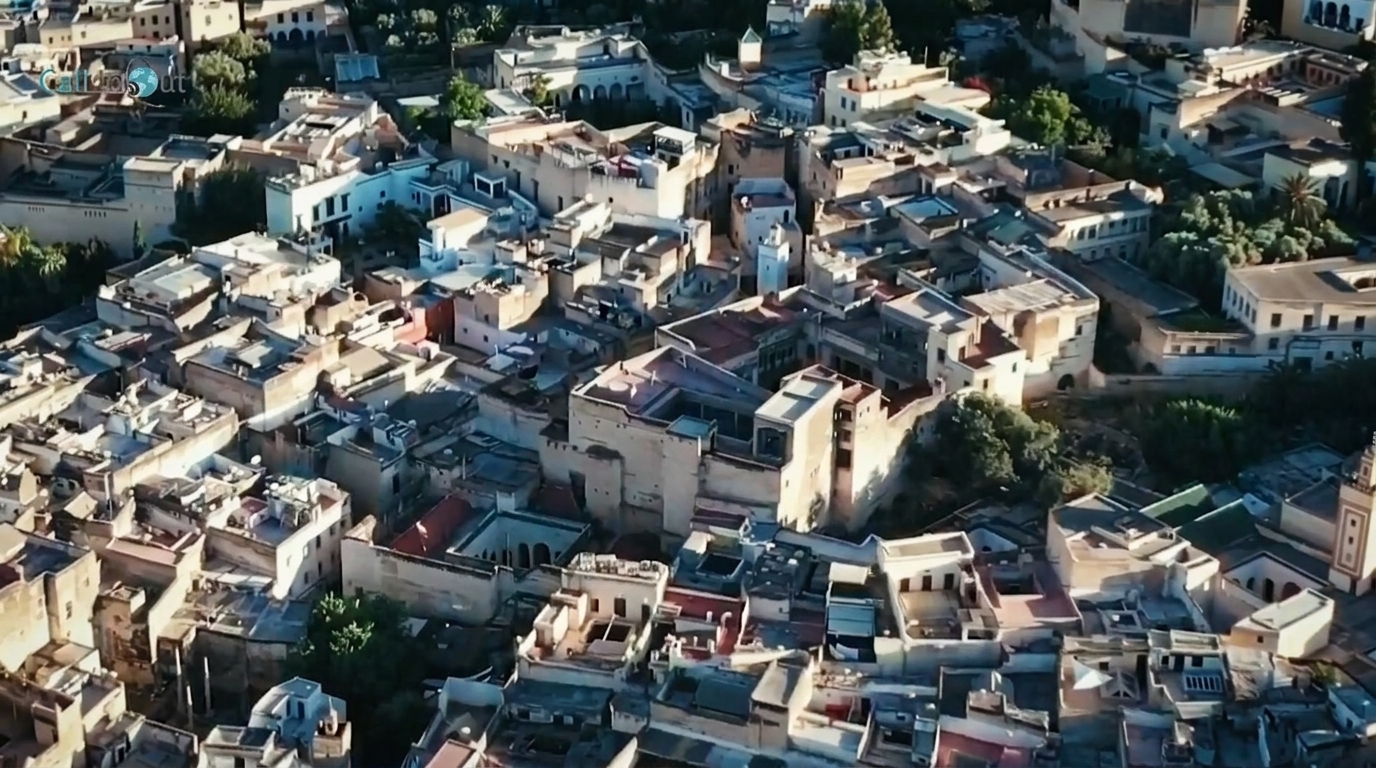 CallInOut — Introduction vidéo